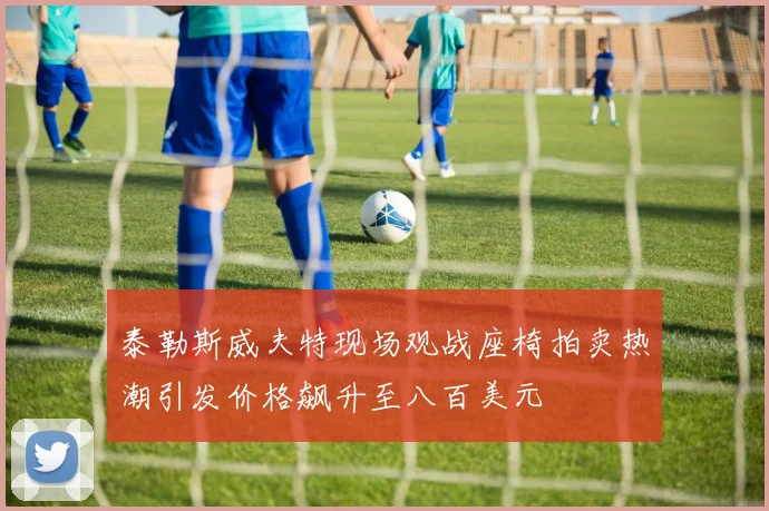 泰勒斯威夫特现场观战座椅拍卖热潮引发价格飙升至八百美元